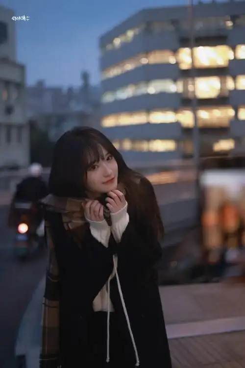 费沁源 十一月的雪