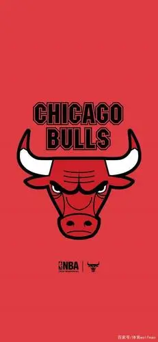 芝加哥公牛队