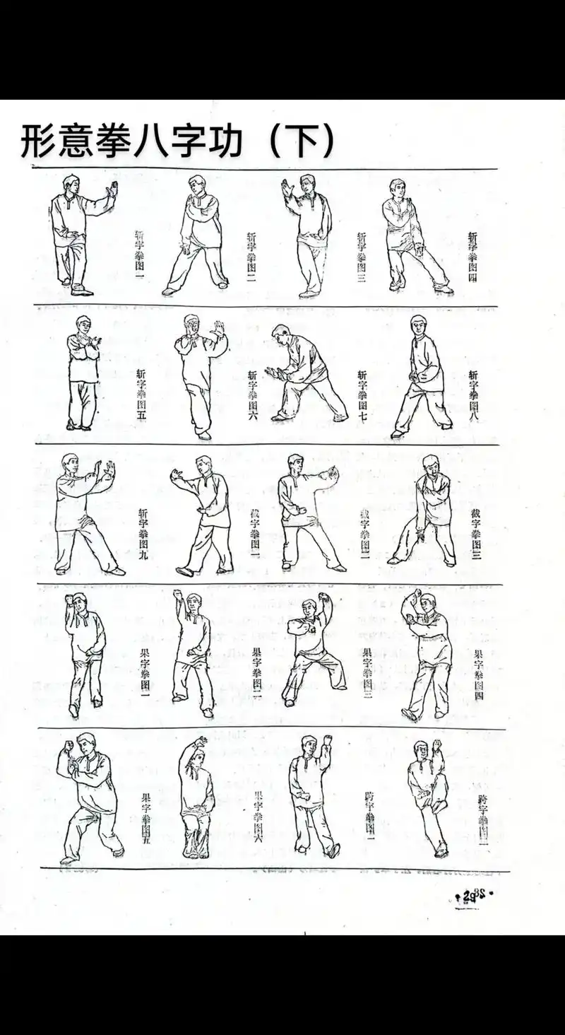 形意拳八字功(下)可下载保存#武术 #中华文化 #武术套路  - 抖音