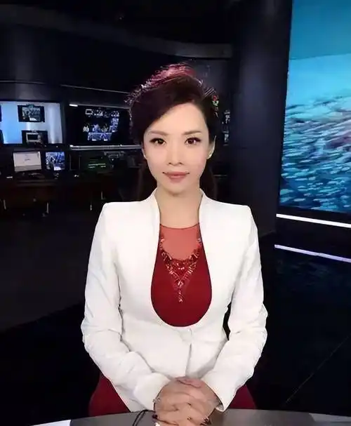 《第一财经》美女主持人戴刘菲,很久没有露面了,她的近况如何?