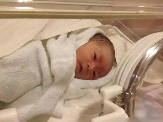 刘德华女儿个人资料中文名:刘向蕙别 名:小龙女,hanna性 别:女国 籍