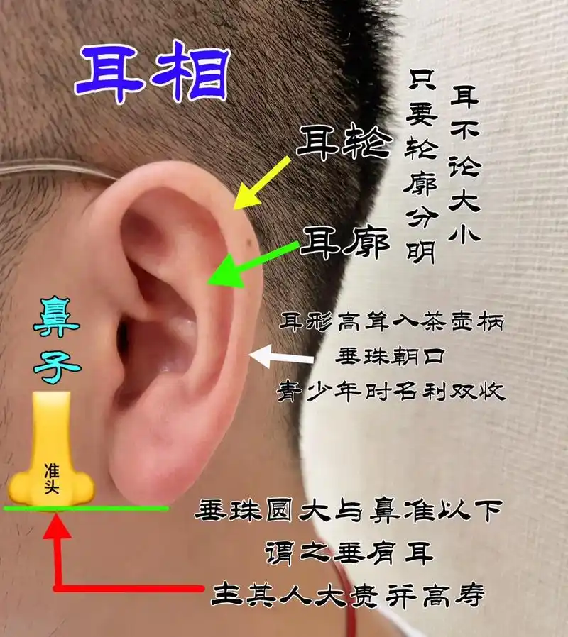 耳朵也不是以大取胜的.#面相 #耳朵大有福 #神奇的耳朵 # - 抖音