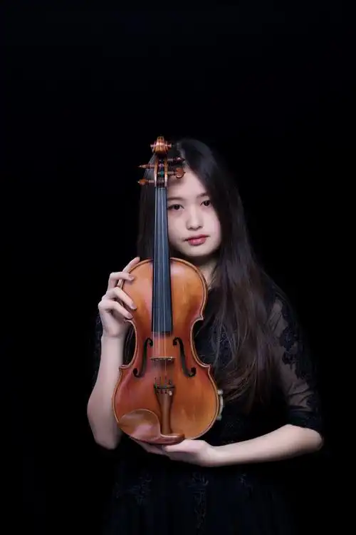 一组优雅高贵的小提琴