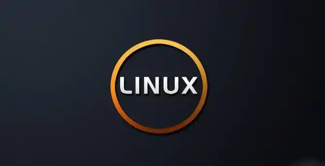 linuxvps主机和独立服务器一键安装windows和linux系统