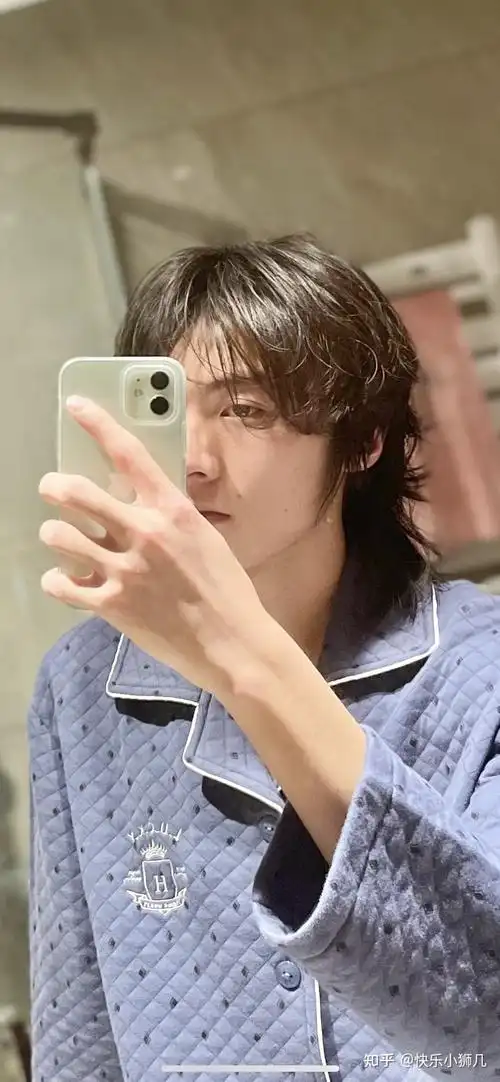 什么是狼尾发型(什么是狼尾发型男)