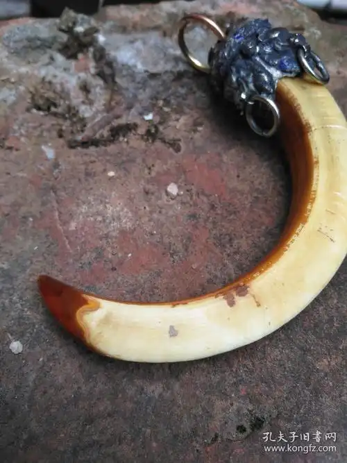 正宗野猪牙吊坠野猪獠牙手把件