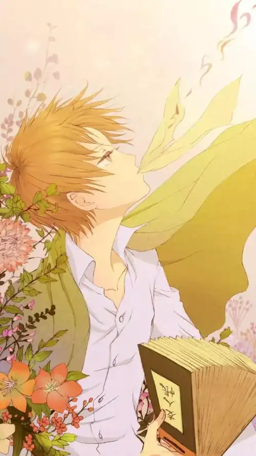 夏目动漫壁纸动漫壁纸男生高清夏目友人帐