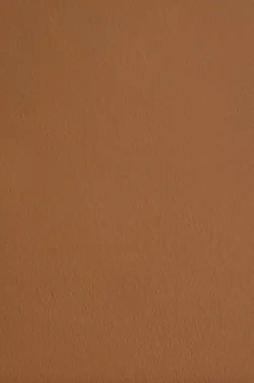 绘壁纸墙上的褐色结构