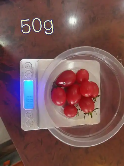 一两的小番茄大概这么多