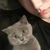 抱猫咪情侣头像一对两张【点击鼠标右键下载】