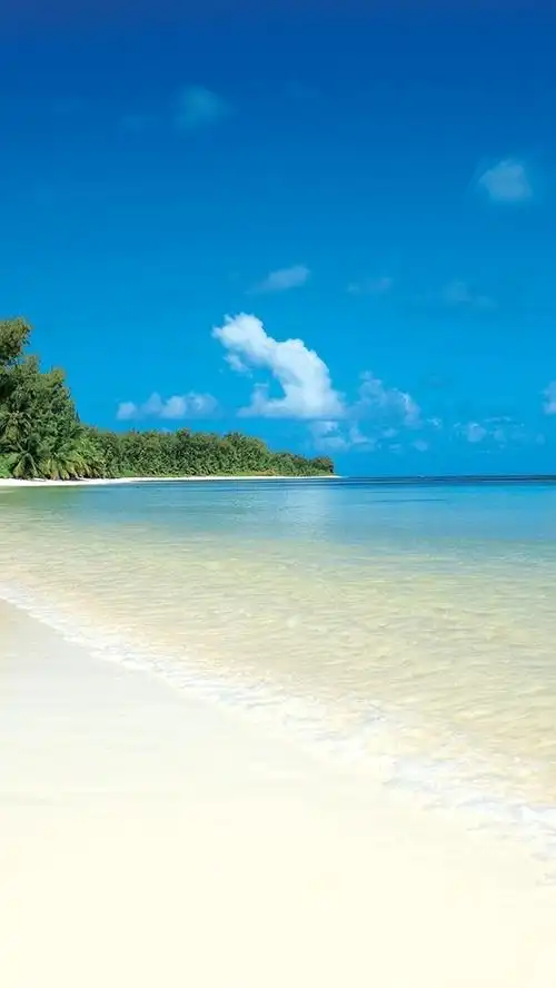 热带的大海与沙滩 iphone 壁纸