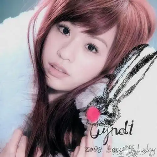 音乐故事:王心凌《当你》