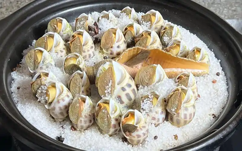 过年硬菜盐焗花螺,开盖香气扑鼻,鲜香美味,学会可以在家露一手