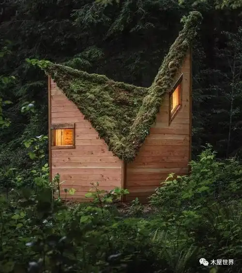 梦幻般的森林小木屋