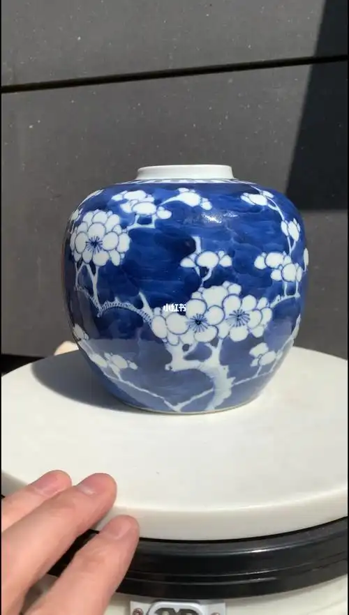 收藏品古董清代精品青花留白冰梅罐