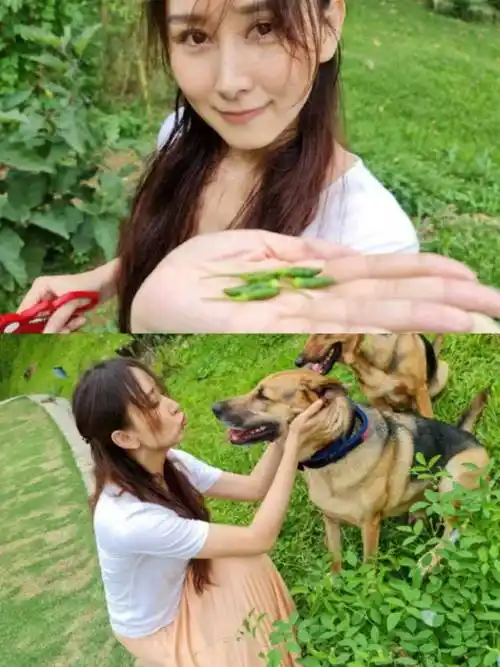 看到胡静和梁洛施晒出的豪宅,同样是豪门女星的生活,你更羡慕谁