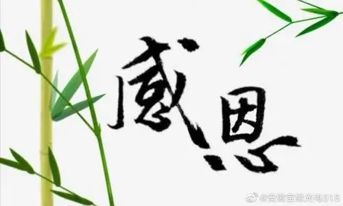 迈维动漫2020感恩有你2021同心同行