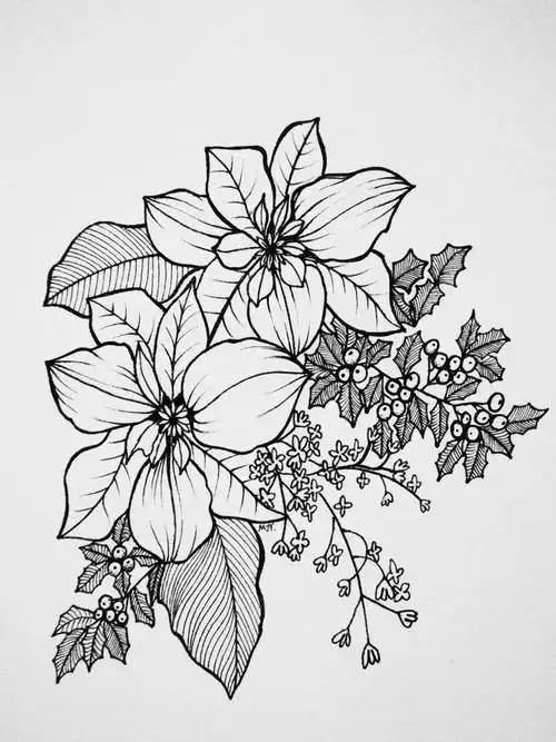线描素材|一支笔可以完成的花卉装饰画