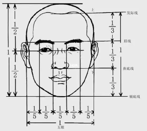 素描头像:认识头部的三庭五眼在三庭五眼"的基础美术人脸画法上出现了