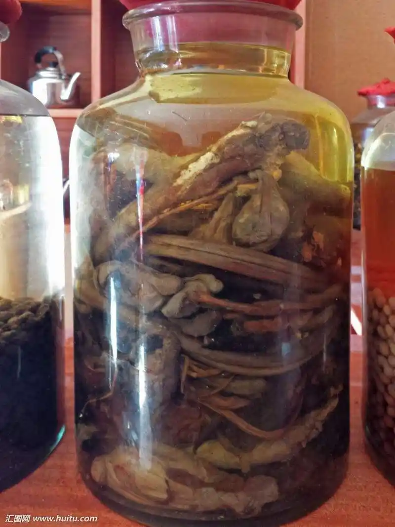 家庭自泡药酒,要注意的四件事情,第三件尤其重要