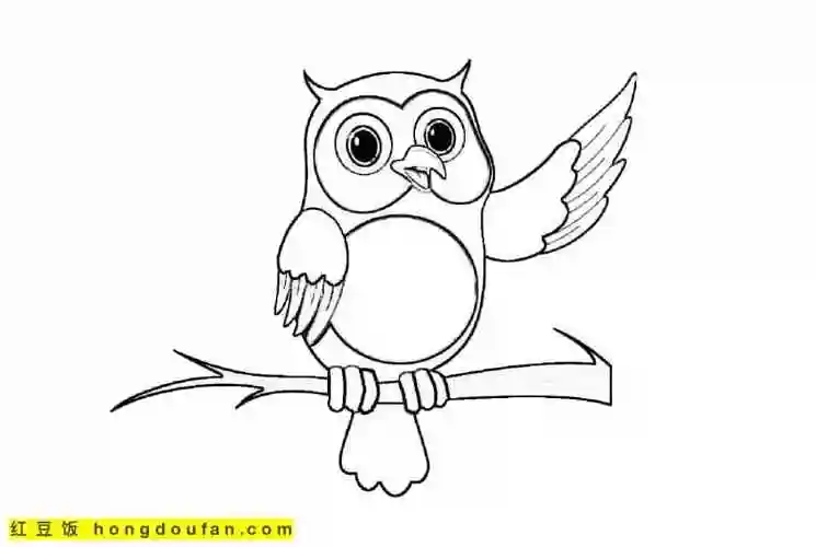 12岁孩子们都可以涂色的14张猫头鹰主题涂色图片-红豆饭小学生简笔画
