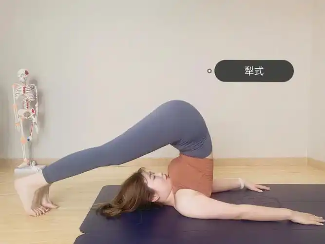 一千个读者,就有一千个哈姆雷特一千个瑜伽习练者,也有一千种感受和