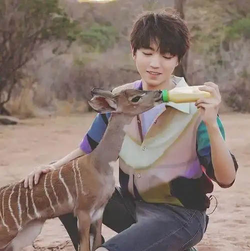 犬系少年王俊凯抱着宠物狗拍写真网友被这眼神温柔哭了