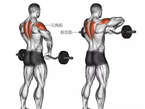 斜方肌怎么练/女生好看的大斜方肌图片