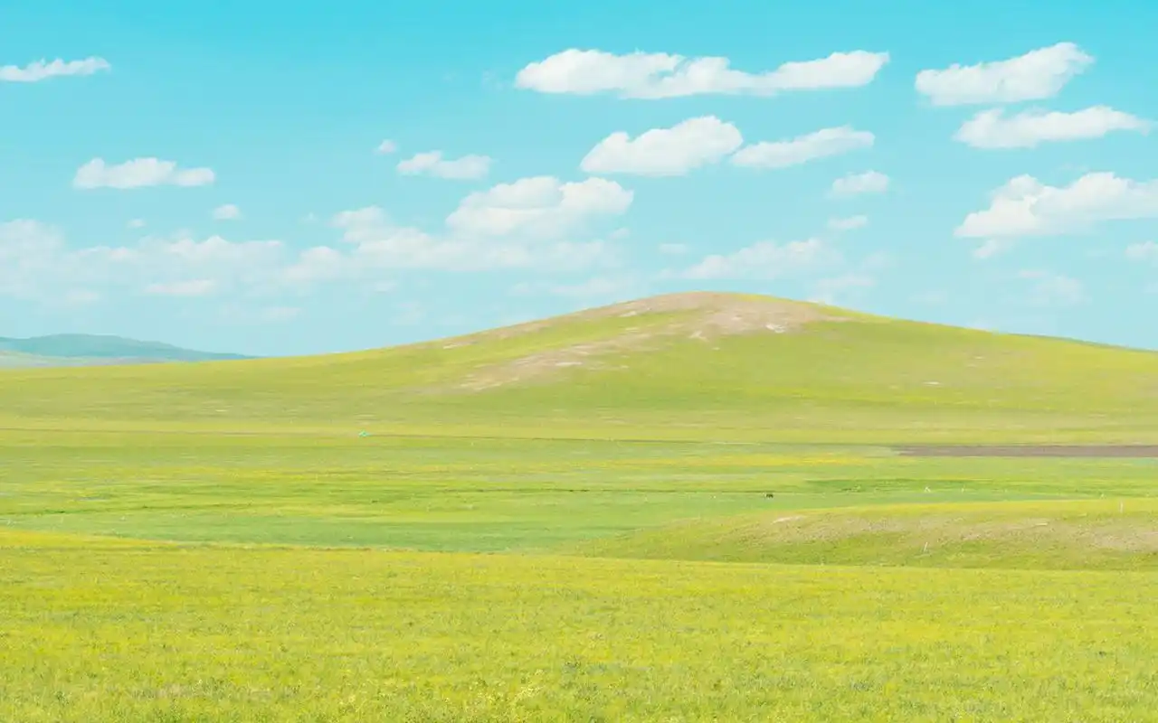 绿色清新护眼大草原自然风光图片桌面壁纸