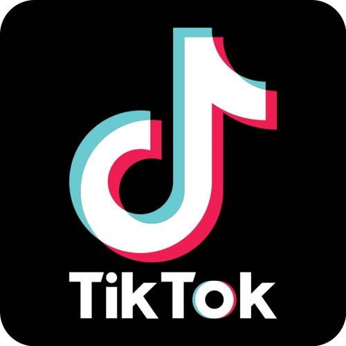 抖音国际版tiktok下载-抖音国际版tiktok安卓版下载v29.0.3-17游戏网