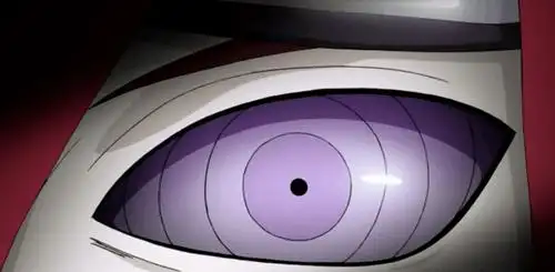 火影忍者轮回眼的4大种类大筒木桃式拥有其中的2种便自喻为神