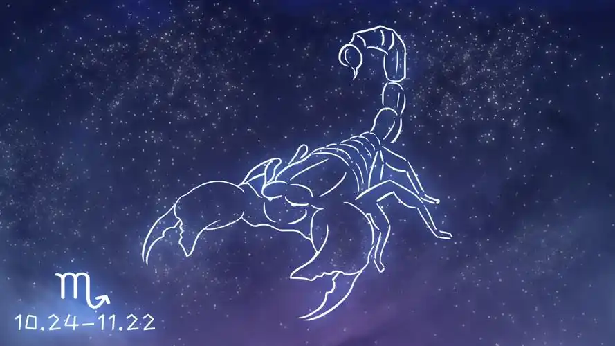 天蝎座:天生心机重?满腹猜疑爱报复又毒舌?这么想你就错了