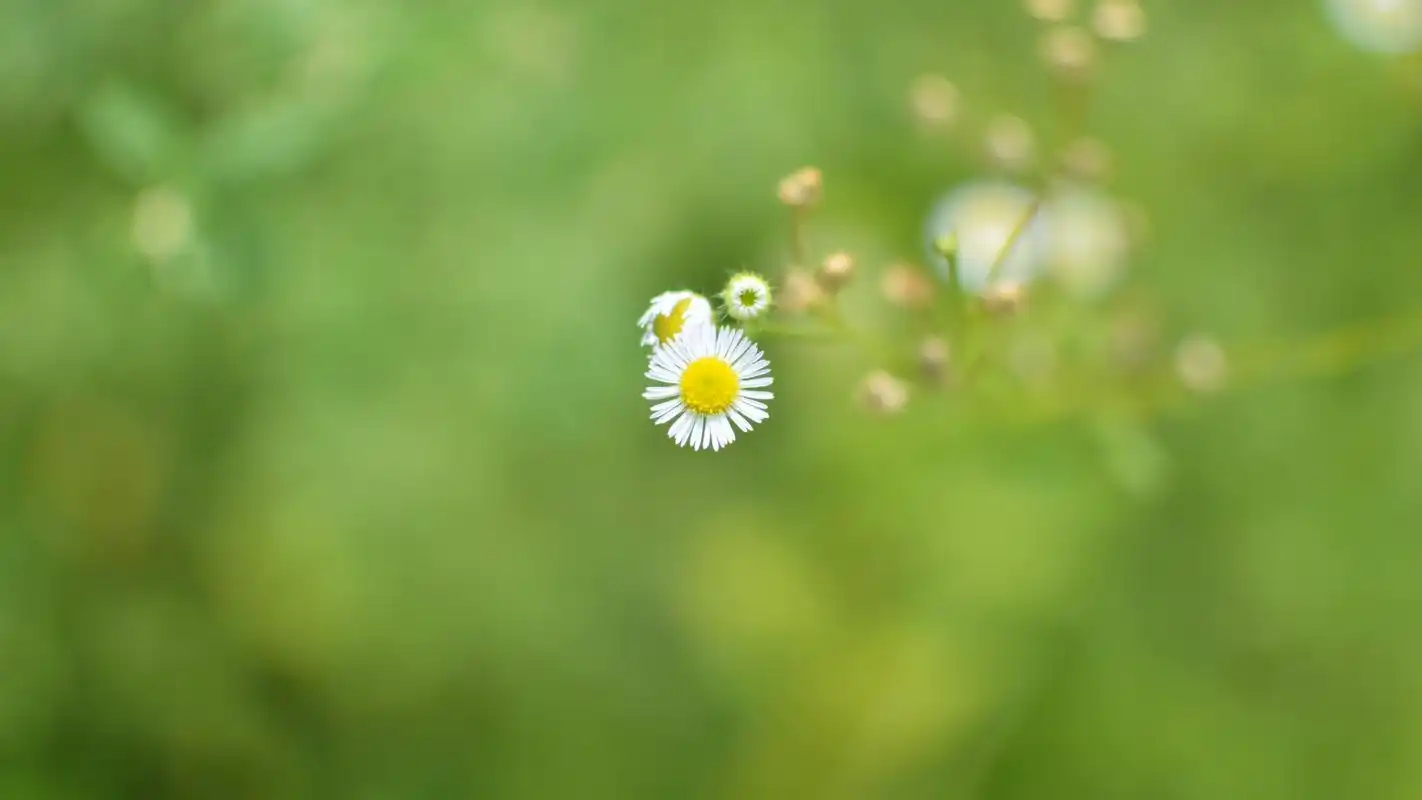 图集:分享一组好看的护眼壁纸,赶快收藏吧