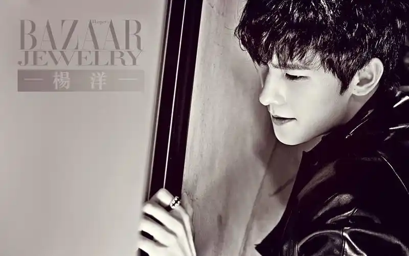 小鲜肉杨洋芭莎写真高清电脑桌面壁纸下载2