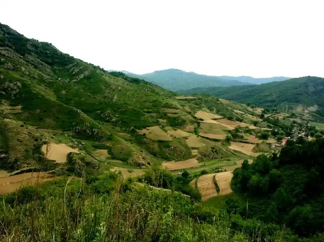 岚县饮马池草甸