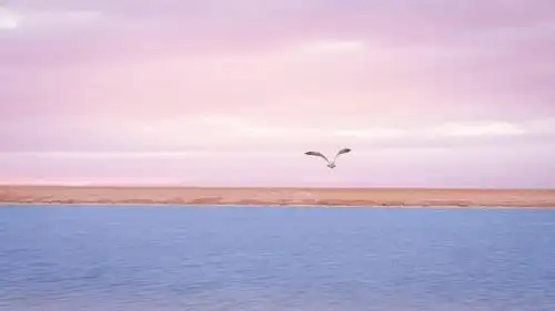 日落前茶卡的温柔浪漫治愈系美景,高清图片-壁纸族