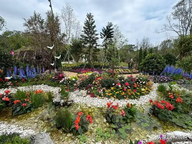 大湾区花展人气旺平日人潮也不少公园处处繁花似锦惹人爱