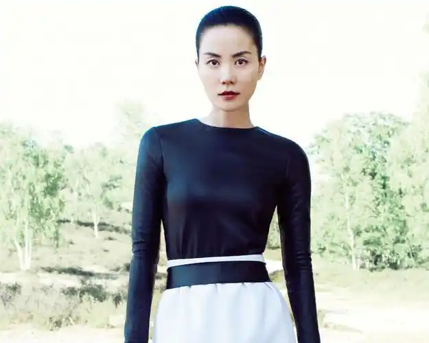 美女,王菲,歌手,明星,慈善事业者王菲壁纸