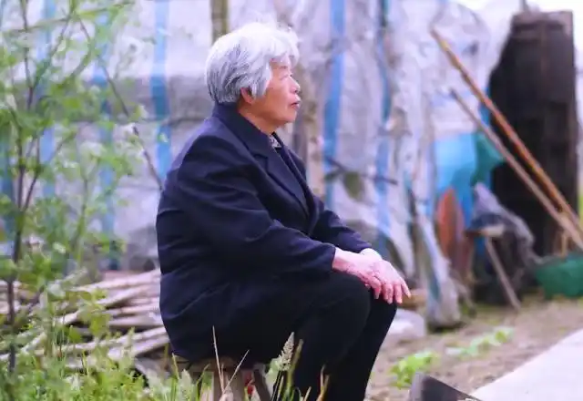 如皋六旬母亲8年洗碗替子还债感动债主,"阿姨,我们需要您这样的好人!