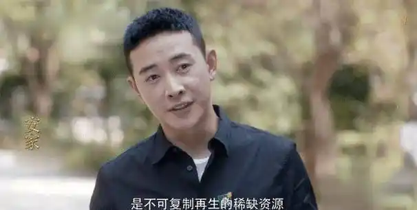 原创安家房似锦被林茂根跳单没什么不好她就应该吃点苦头