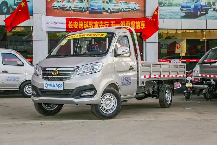 2021款新豹t3柳机12l91马力3080轴距单排载货汽车国Ⅵ