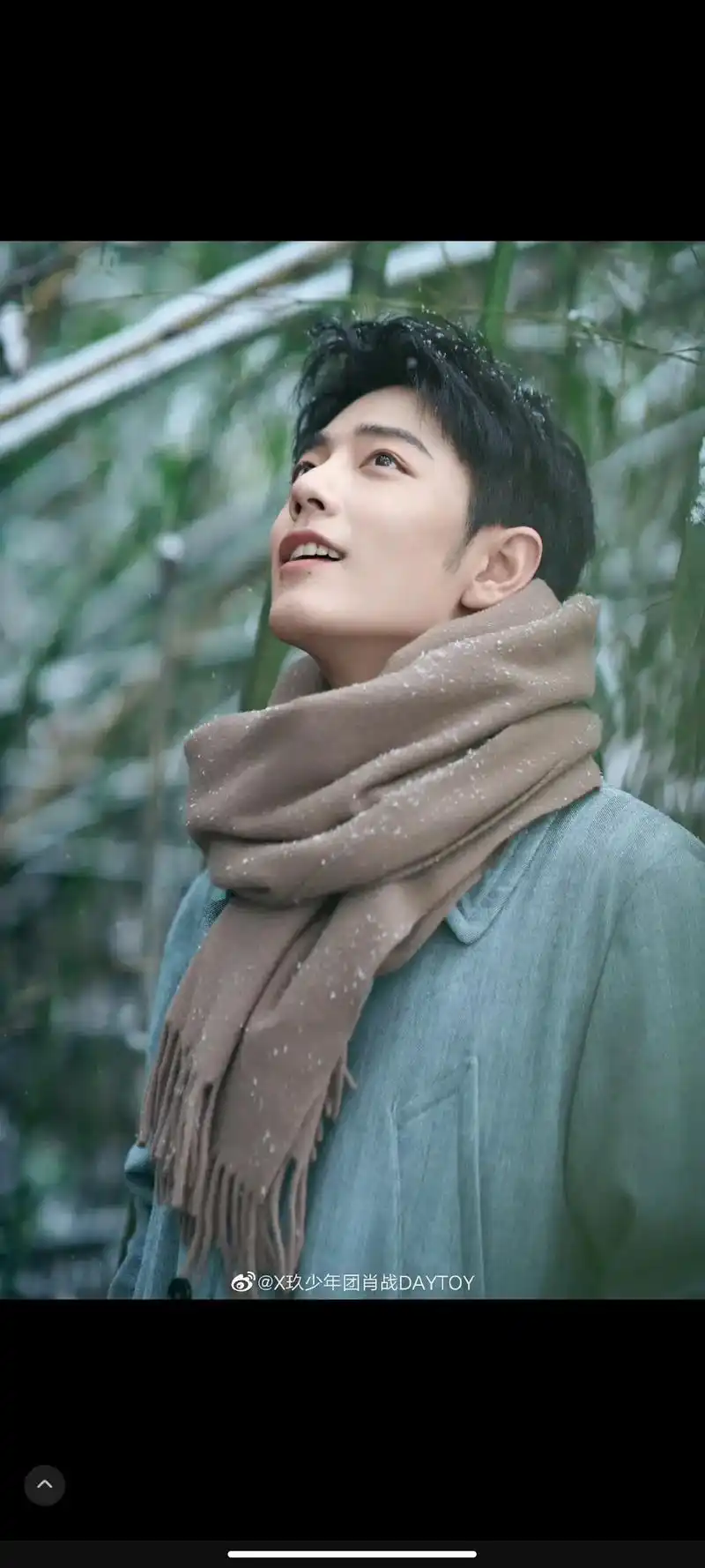 肖战冬至竹林大片 #肖战顺顺利利 #肖战的小飞侠 #向全世 - 兑趑