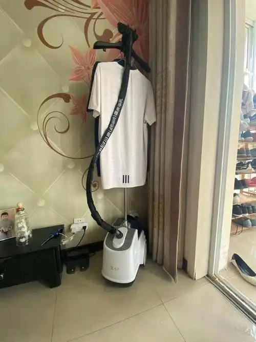 域桥蒸汽挂烫机