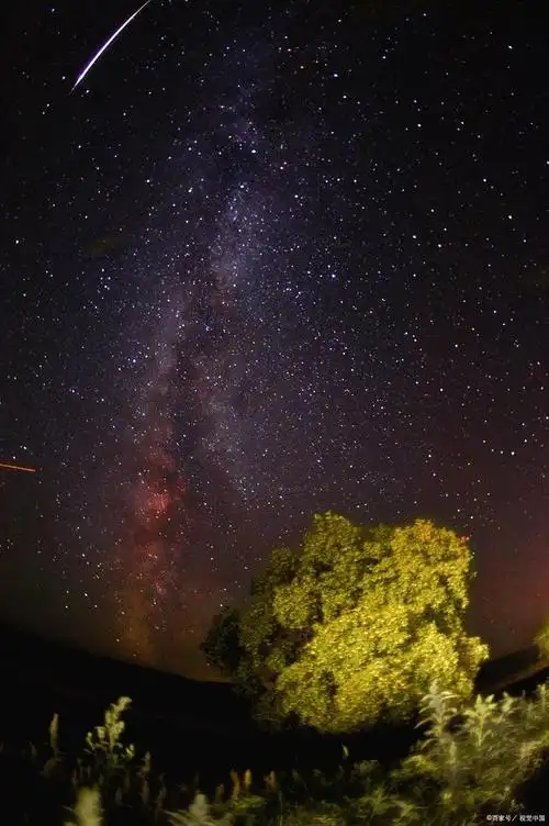 繁星点点闪耀的黑夜中