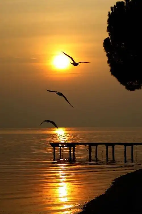 夕阳下的海边,美的惊人