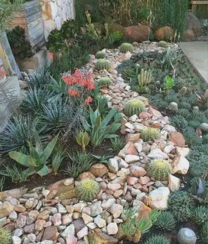 花园装饰设计:花坛,石头与多肉植物,原木组合,仙人掌花园