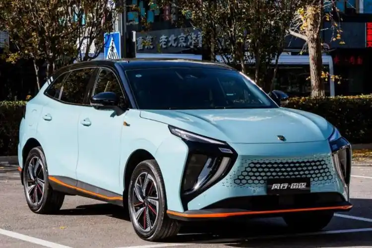 纯电动车价格与安全不可兼得?风行雷霆:看我 - 新闻详情 - 买车网