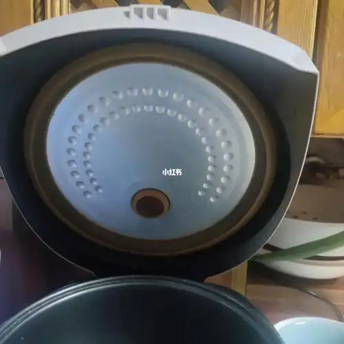 大家看看这个电饭锅内盖可以拆下来吗