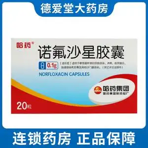 哈药 诺氟沙星胶囊 0.