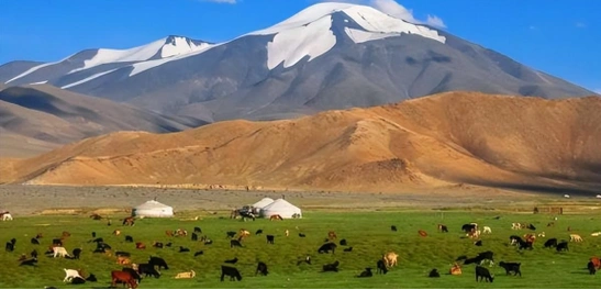 外蒙古混的到底有多惨72的土地荒漠化全国仅有一条高速公路